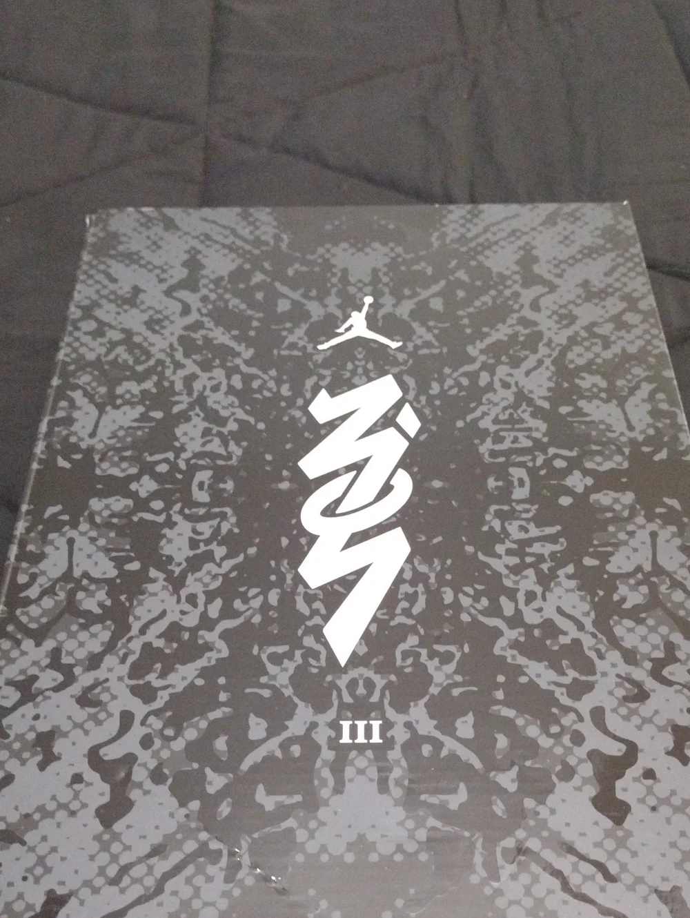 Jordan Zion 3